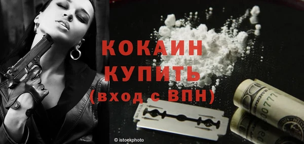 гашик Арсеньев