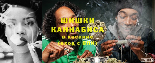 гашик Арсеньев